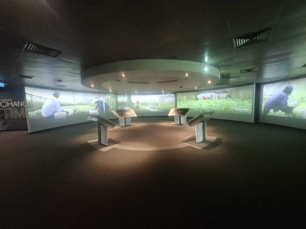 体験型固定展示会